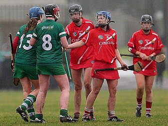 Camogie League Round Up: Limer...